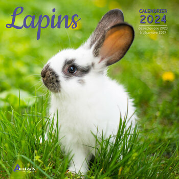 Calendrier 2024 Lapin