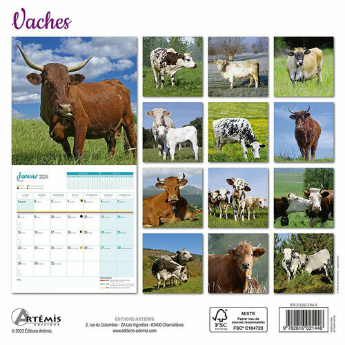 Calendrier 2024 Vache