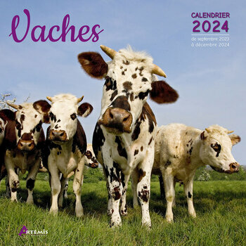 Calendrier 2024 Vache