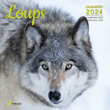 Calendrier 2024 Loup