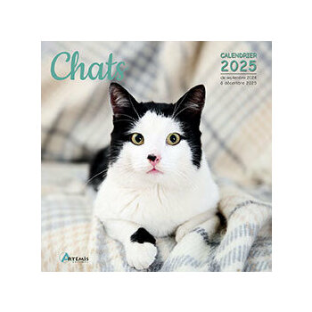 Calendrier 2024 Ane Calendrier 2024 Ane