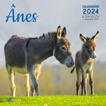 Calendrier 2024 Ane