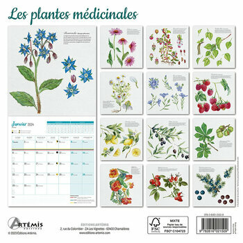 Calendrier 2024 Plantes médicinales