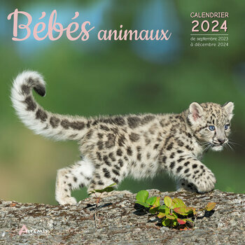 Calendrier 2024 Bébé animaux Calendrier 2024 Bébé animaux