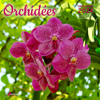 Calendrier 2024 Orchidée