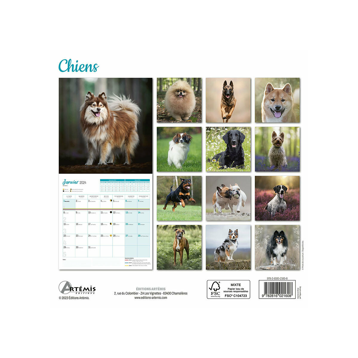 Calendrier 2024 Chien