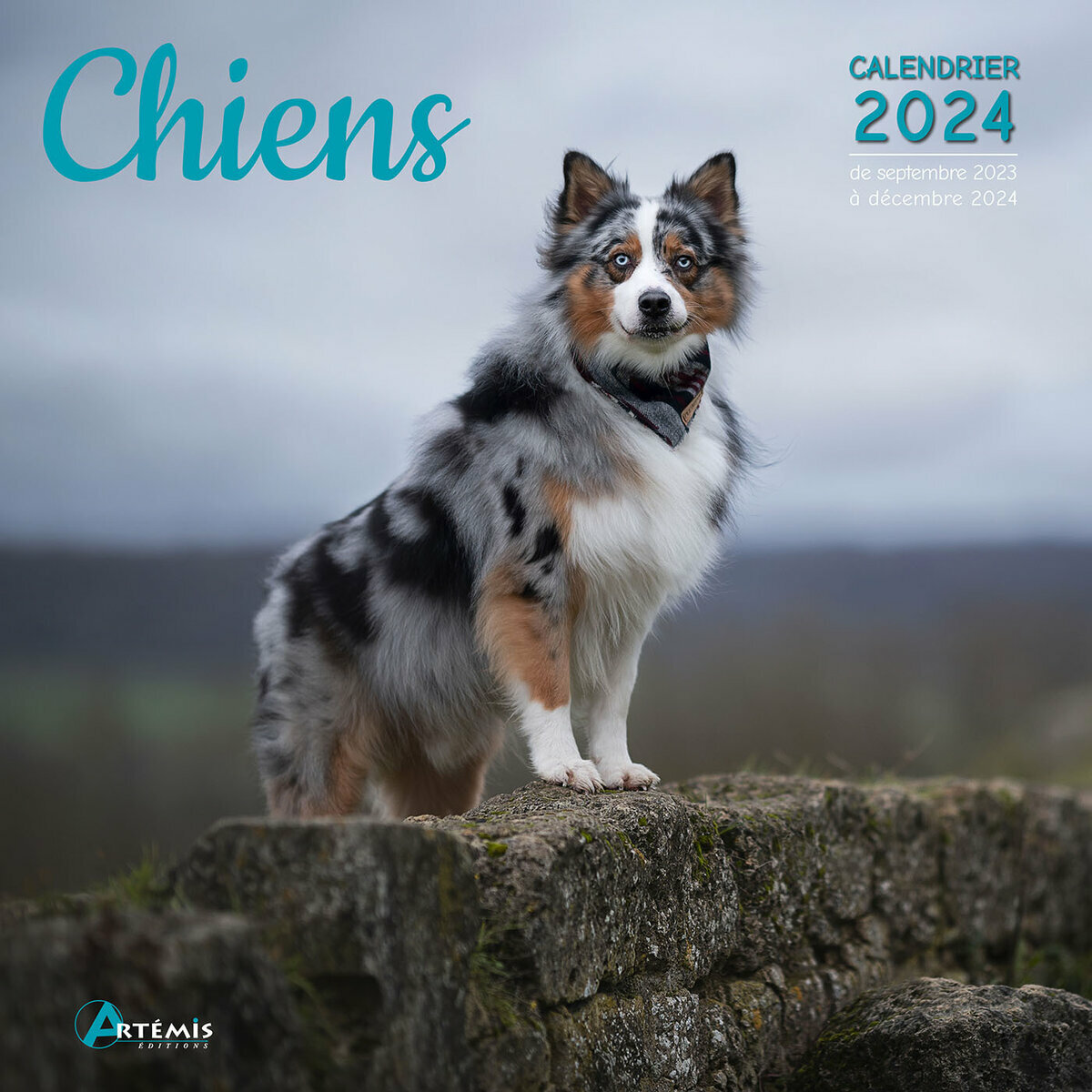Calendrier 2024 Chien