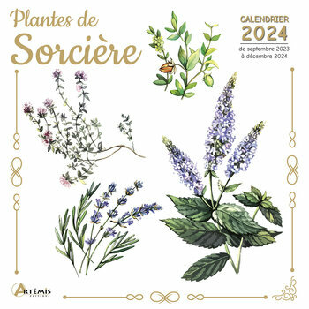 Calendrier 2024 Plantes de Sorcière
