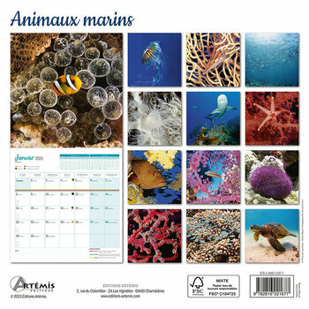 Calendrier 2024 Animaux marins Calendrier 2024 Animaux marins