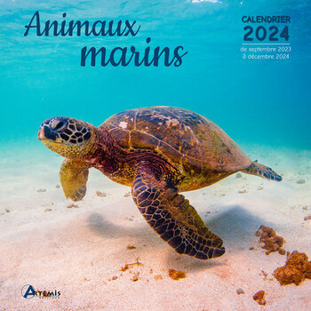 Calendrier 2024 Animaux marins Calendrier 2024 Animaux marins