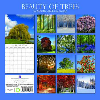 Calendrier 2024 Beauté des arbres Calendrier 2024 Beauté des arbres
