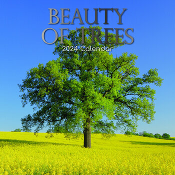 Calendrier 2024 Beauté des arbres Calendrier 2024 Beauté des arbres
