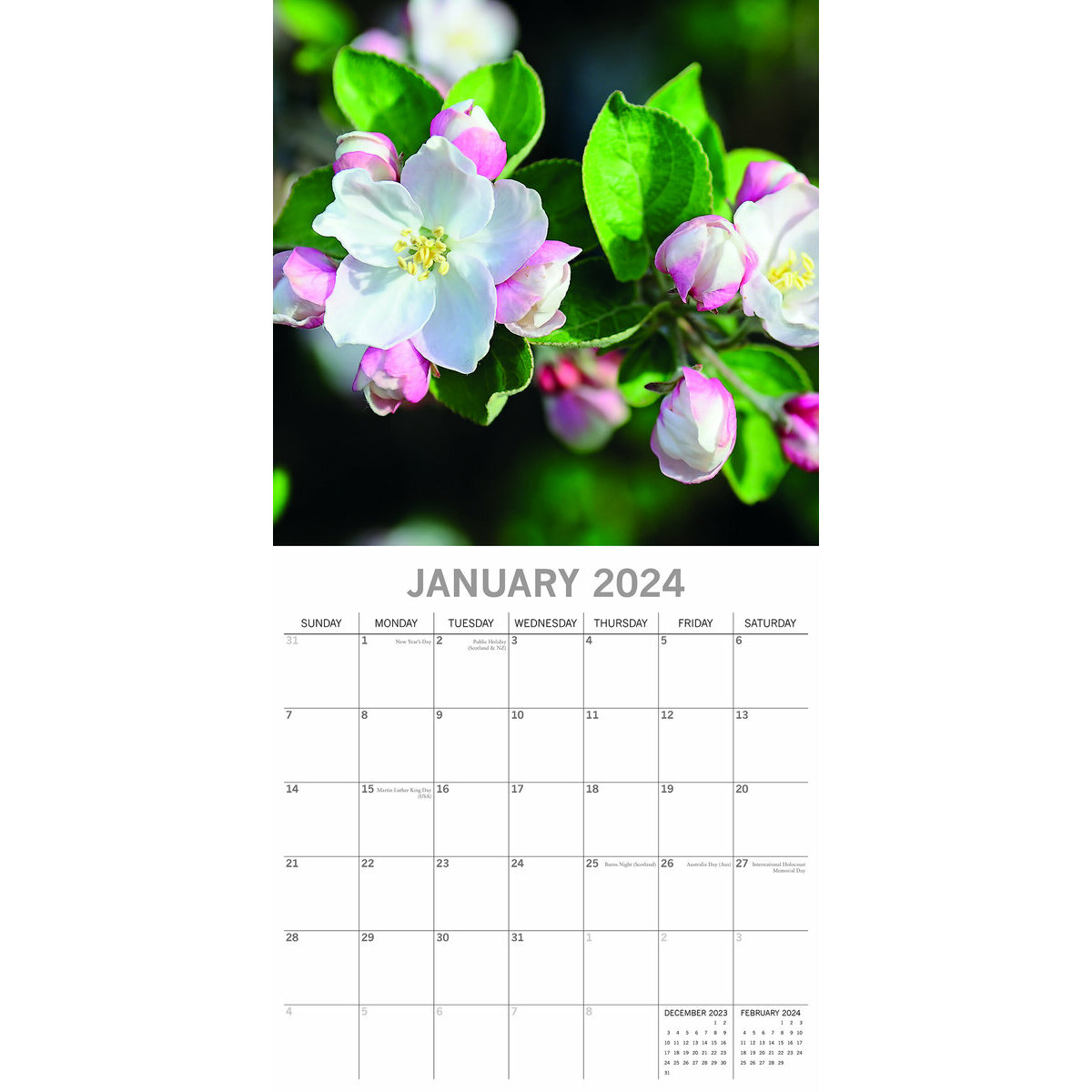 calendrier Arbre en fleur 2024