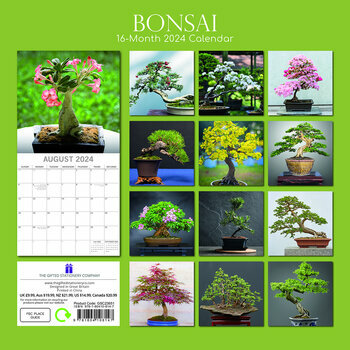 Calendrier 2024 Bonsaï