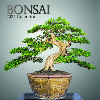 Calendrier 2024 Bonsaï