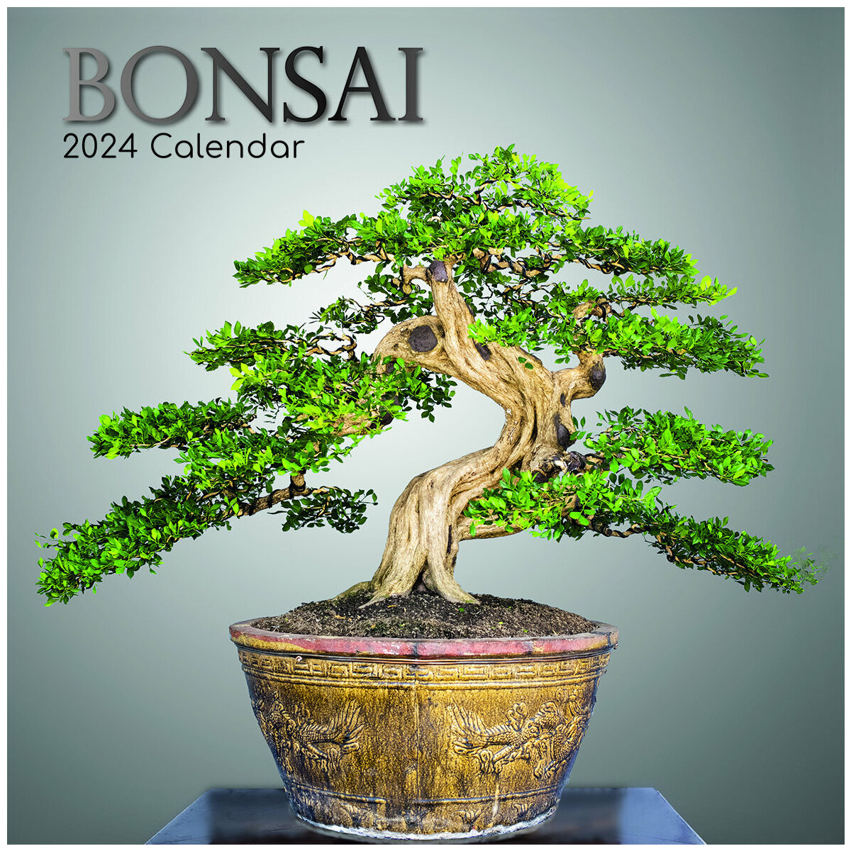 calendrier Bonsaï 2024