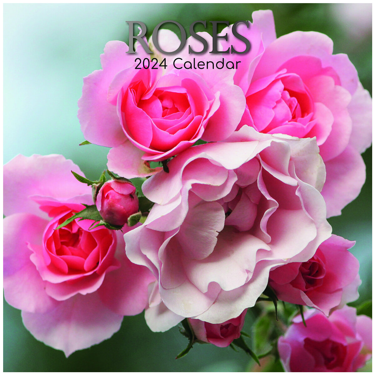 calendrier Rose 2024