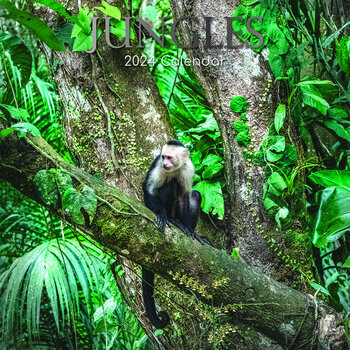 Calendrier 2024 Jungle Calendrier 2024 Jungle