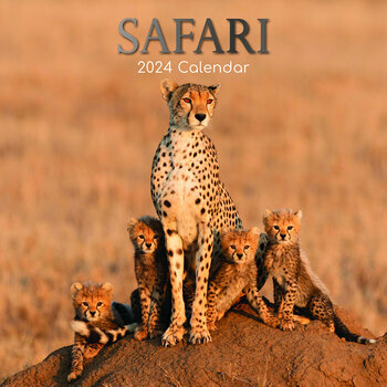 Calendrier 2024 Safari