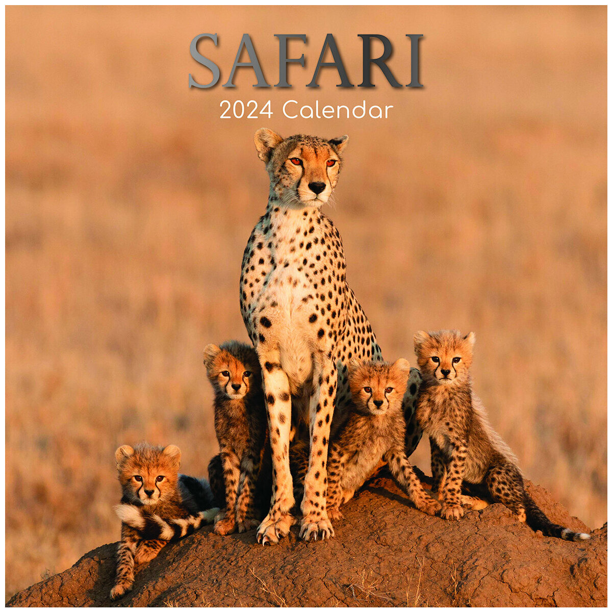 Calendrier 2024 Safari