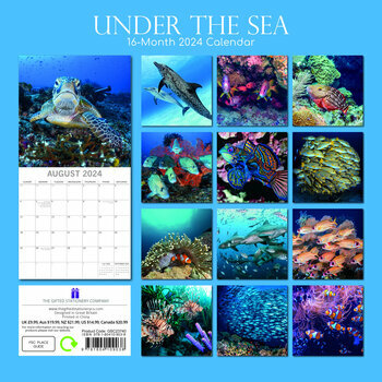 Calendrier 2024 Vie sous marine Calendrier 2024 Vie sous marine