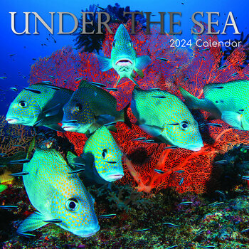 Calendrier 2024 Vie sous marine Calendrier 2024 Vie sous marine