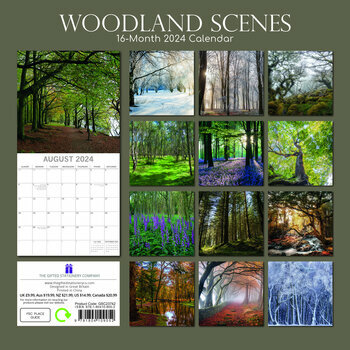 Calendrier 2024 Forêt Calendrier 2024 Forêt