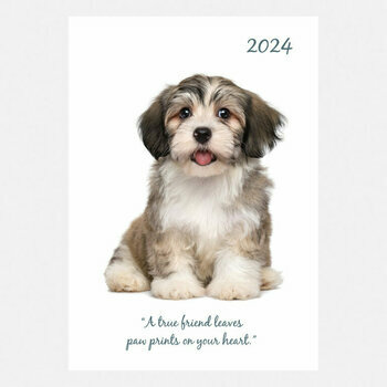 Agenda chien mignon 2024