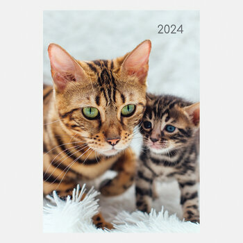 Agenda chat et chaton 2024