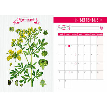 Agenda Nature Plante botanique 2024