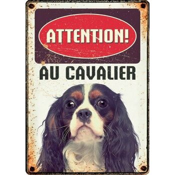 Plaque métal décorative Cavalier King Charles