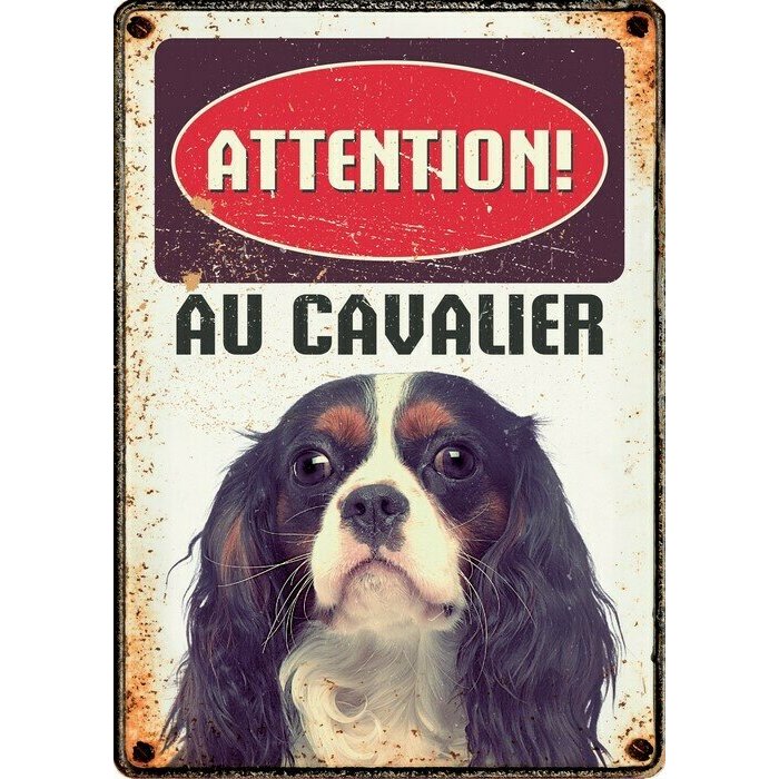 Plaque mtal chien Cavalier King Charles
