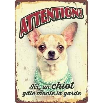 Plaque métal décorative Chiot Chihuahua