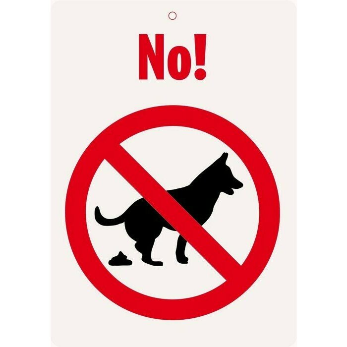 Djection canine interdite