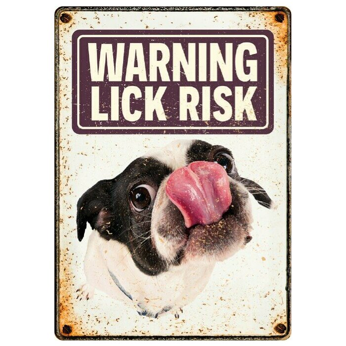 Plaque humour chien