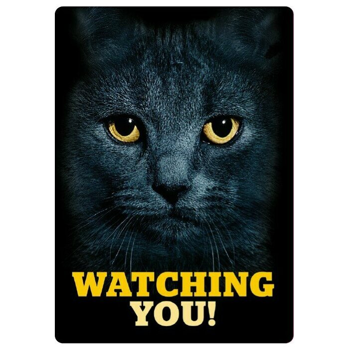 Plaque chat noir