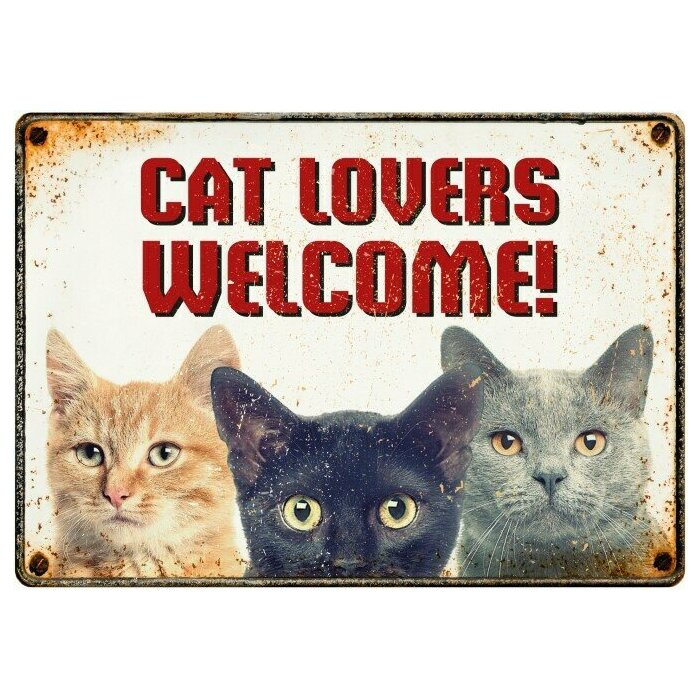Plaque metal chat