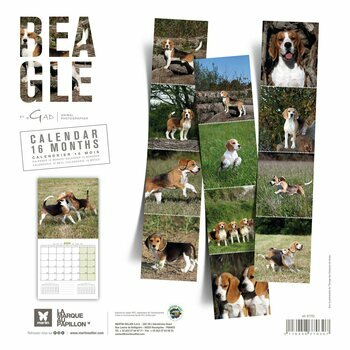 Calendrier 2024 Beagle Calendrier 2024 Beagle