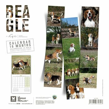 Calendrier 2024 Beagle