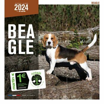 Calendrier 2024 Beagle