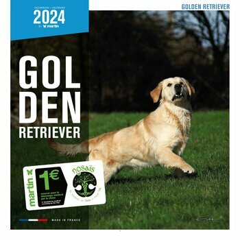 Calendrier 2024 Golden retriever