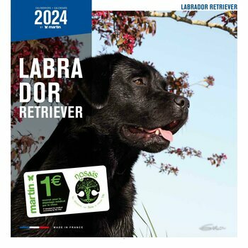 Calendrier 2024 Labrador