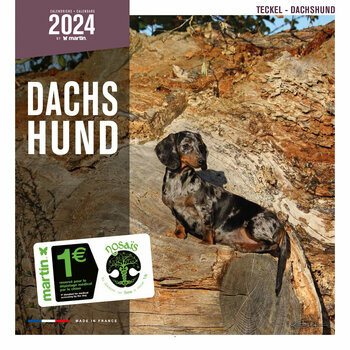 Calendrier 2024 Teckel Calendrier 2024 Teckel