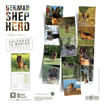 Calendrier 2024 Berger allemand Calendrier 2024 Berger allemand