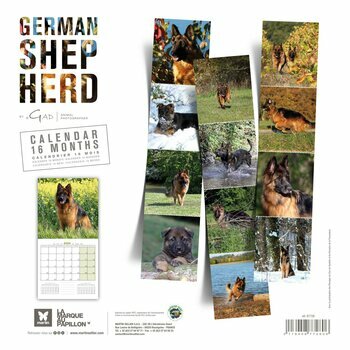 Calendrier 2024 Berger allemand