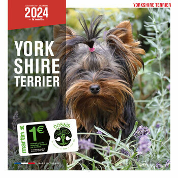 Calendrier 2024 Yorkshire Terrier