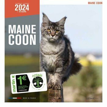 Calendrier 2024 Maine coon