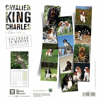 Calendrier 2024 Cavalier king charles Calendrier 2024 Cavalier king charles