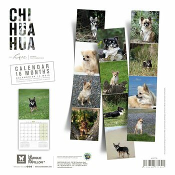 Calendrier 2024 Chihuahua