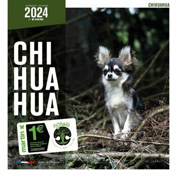 Calendrier 2024 Chihuahua Calendrier 2024 Chihuahua